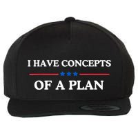 I Have Concepts Of A Plan Wool Snapback Cap