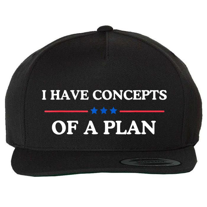 I Have Concepts Of A Plan Wool Snapback Cap