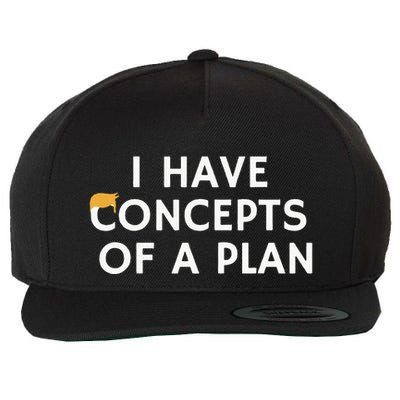 I Have Concepts Of A Plan Donald Trump Wool Snapback Cap