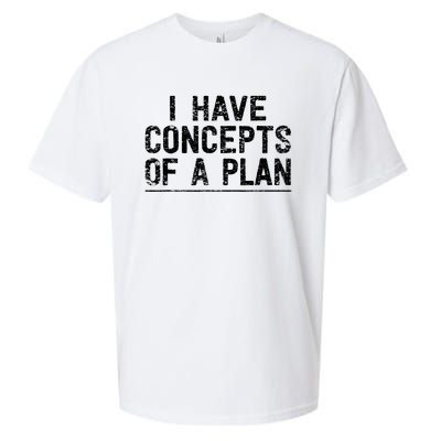 I Have Concepts Of A Plan Political 2024 Sueded Cloud Jersey T-Shirt