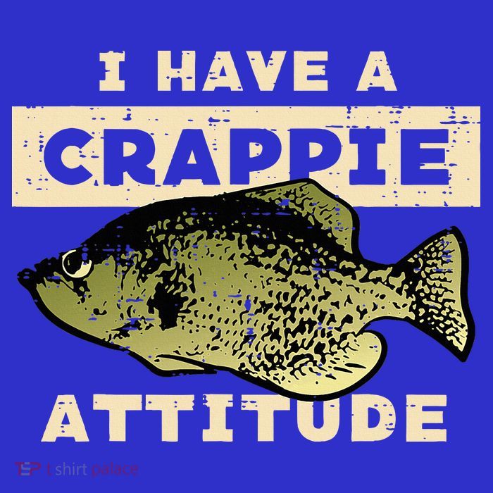 I Have Crappie Attitude Fishing Funny Fish Pom Pom 12in Knit Beanie