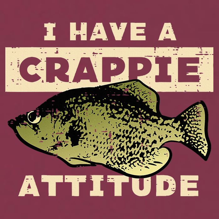 I Have Crappie Attitude Fishing Funny Fish 16oz Travel Tumbler