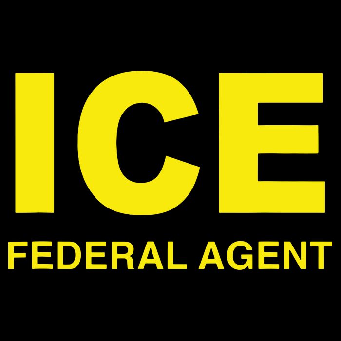 Ice Halloween Costume Federal Agent Police Immigration Poster