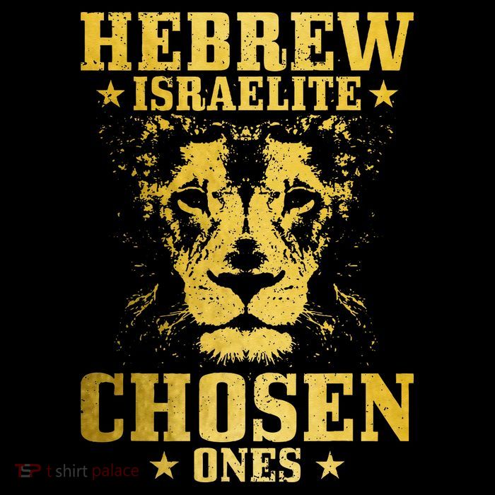 Israelite Hebrew Chosen Ones Israel Lion Of Judah Women's V-Neck T-Shirt