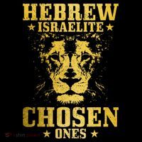 Israelite Hebrew Chosen Ones Israel Lion Of Judah Kids T-Shirt