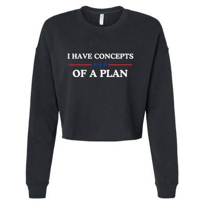 I Have Concepts Of A Plan Cropped Pullover Crew