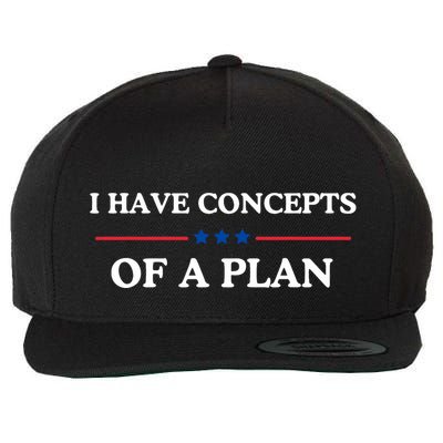 I Have Concepts Of A Plan Wool Snapback Cap