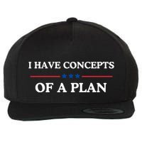 I Have Concepts Of A Plan Wool Snapback Cap