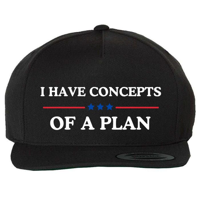 I Have Concepts Of A Plan Wool Snapback Cap