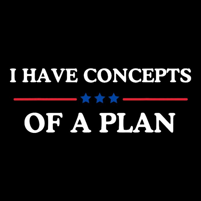 I Have Concepts Of A Plan Wool Snapback Cap
