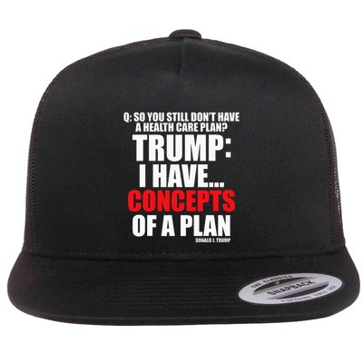 I Have... Concepts Of A Plan Flatbill Hat