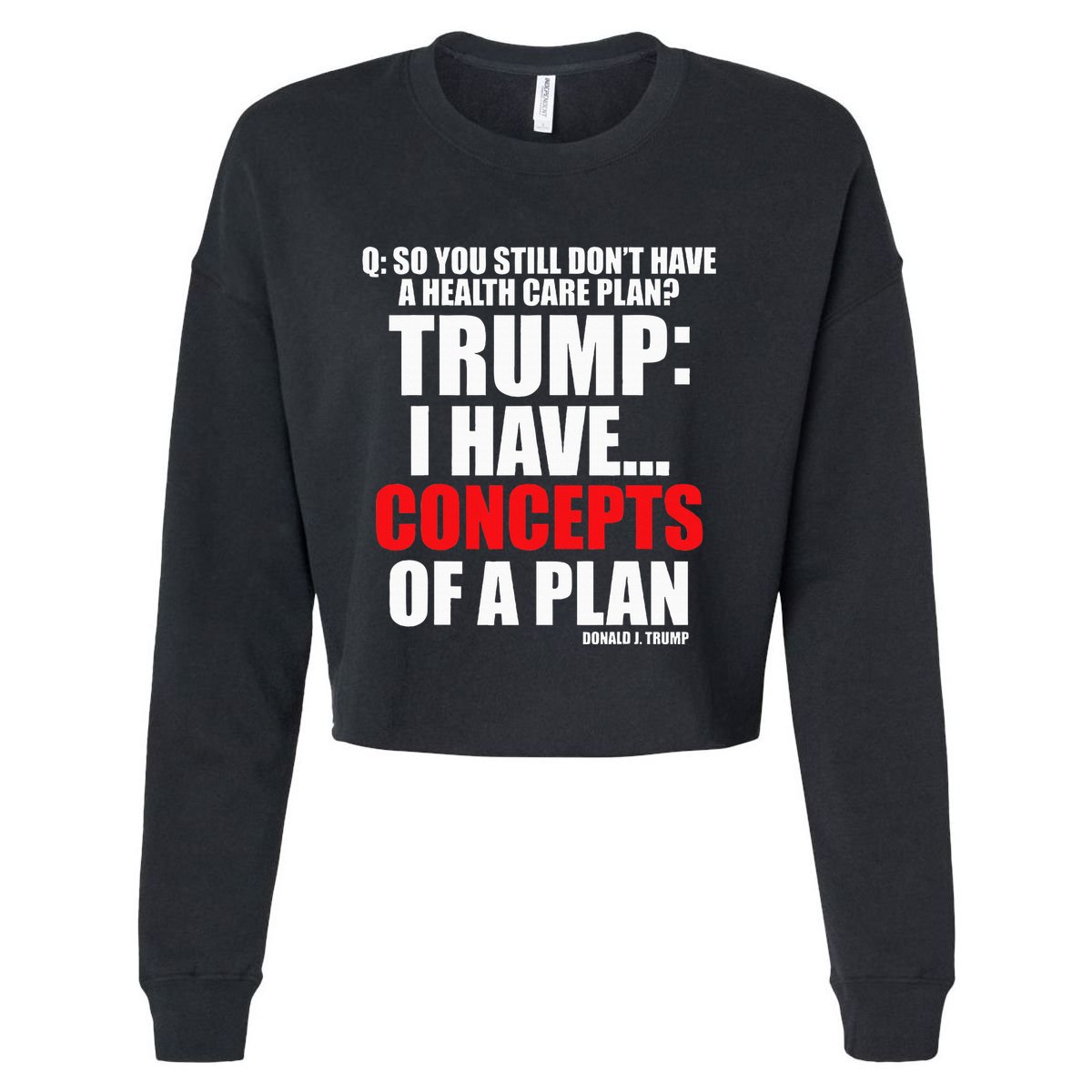 I Have... Concepts Of A Plan Cropped Pullover Crew