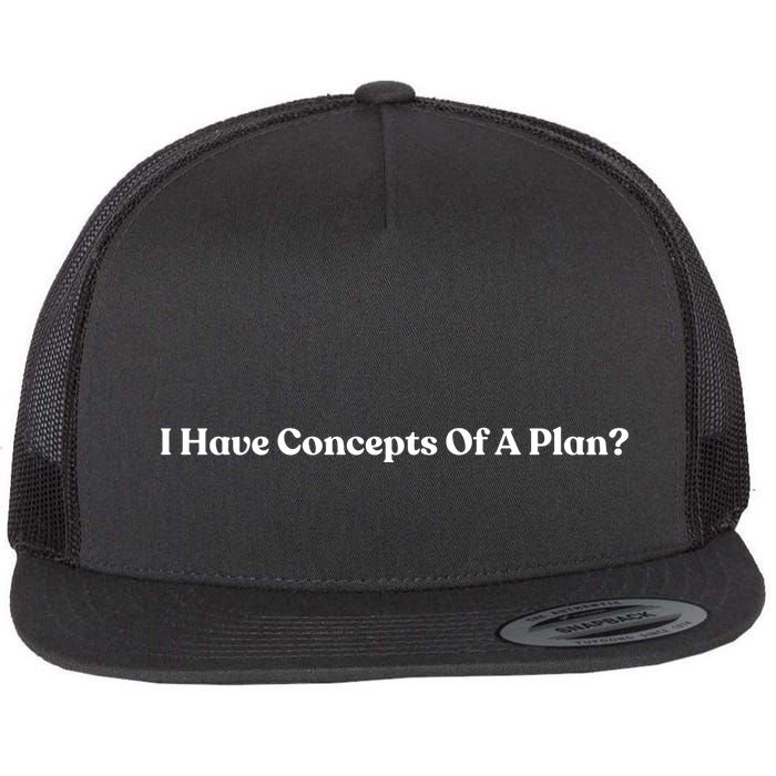 I Have Concepts Of A Plan Flatbill Hat