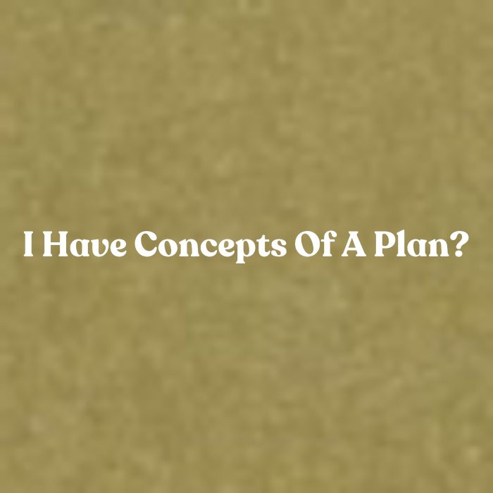 I Have Concepts Of A Plan Garment-Dyed Women's Muscle Tee
