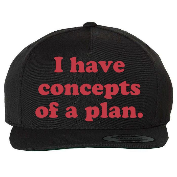 I Have Concepts Of A Plan Wool Snapback Cap