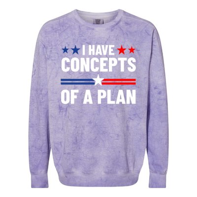 I Have Concepts Of A Plan Political 2024 Colorblast Crewneck Sweatshirt