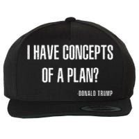 I Have Concepts Of A Plan Vintage Funny Trump Harris Wool Snapback Cap