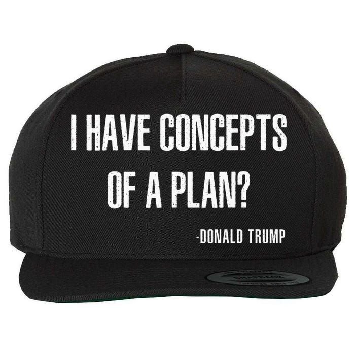 I Have Concepts Of A Plan Vintage Funny Trump Harris Wool Snapback Cap