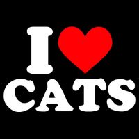 I Heart Cats Shirt I Heart Cats Tshirt I Love Cats Shirt 16 in Basic Backpack