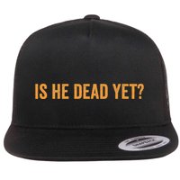 Is He Dead Yet Funny Sarcastic Humor Flatbill Hat