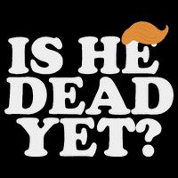 Is He Dead Yet Bold 7-Panel Snapback Hat