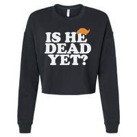 Is He Dead Yet Bold Cropped Pullover Crew