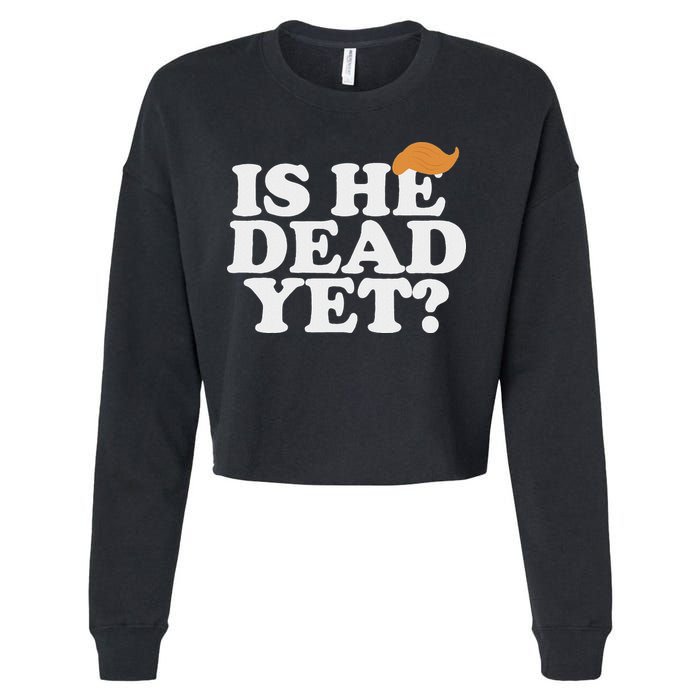 Is He Dead Yet Bold Cropped Pullover Crew