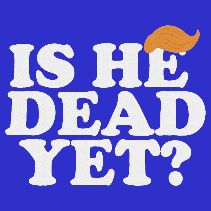 Is He Dead Yet Bold Tall T-Shirt