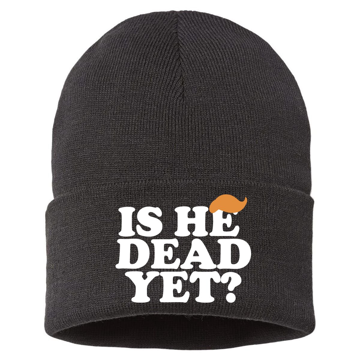 Is He Dead Yet Bold Sustainable Knit Beanie