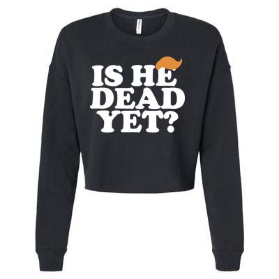 Is He Dead Yet Bold Cropped Pullover Crew