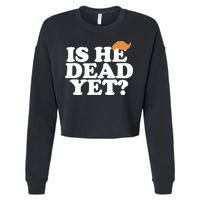 Is He Dead Yet Bold Cropped Pullover Crew