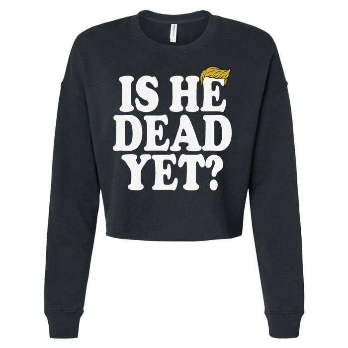 Is He Dead Yet Bold Cropped Pullover Crew