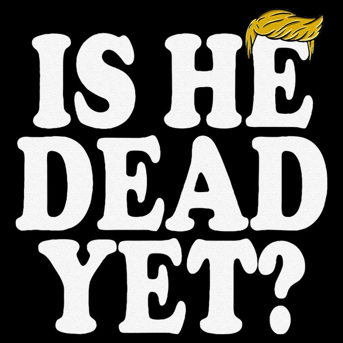 Is He Dead Yet Bold Womens T-Shirt