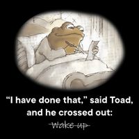 I Have Done That Said Toad And He Crossed Out Wake Up Backpack