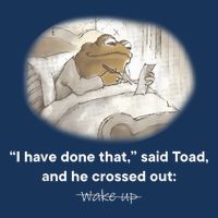 I Have Done That Said Toad And He Crossed Out Wake Up 16 in Basic Backpack