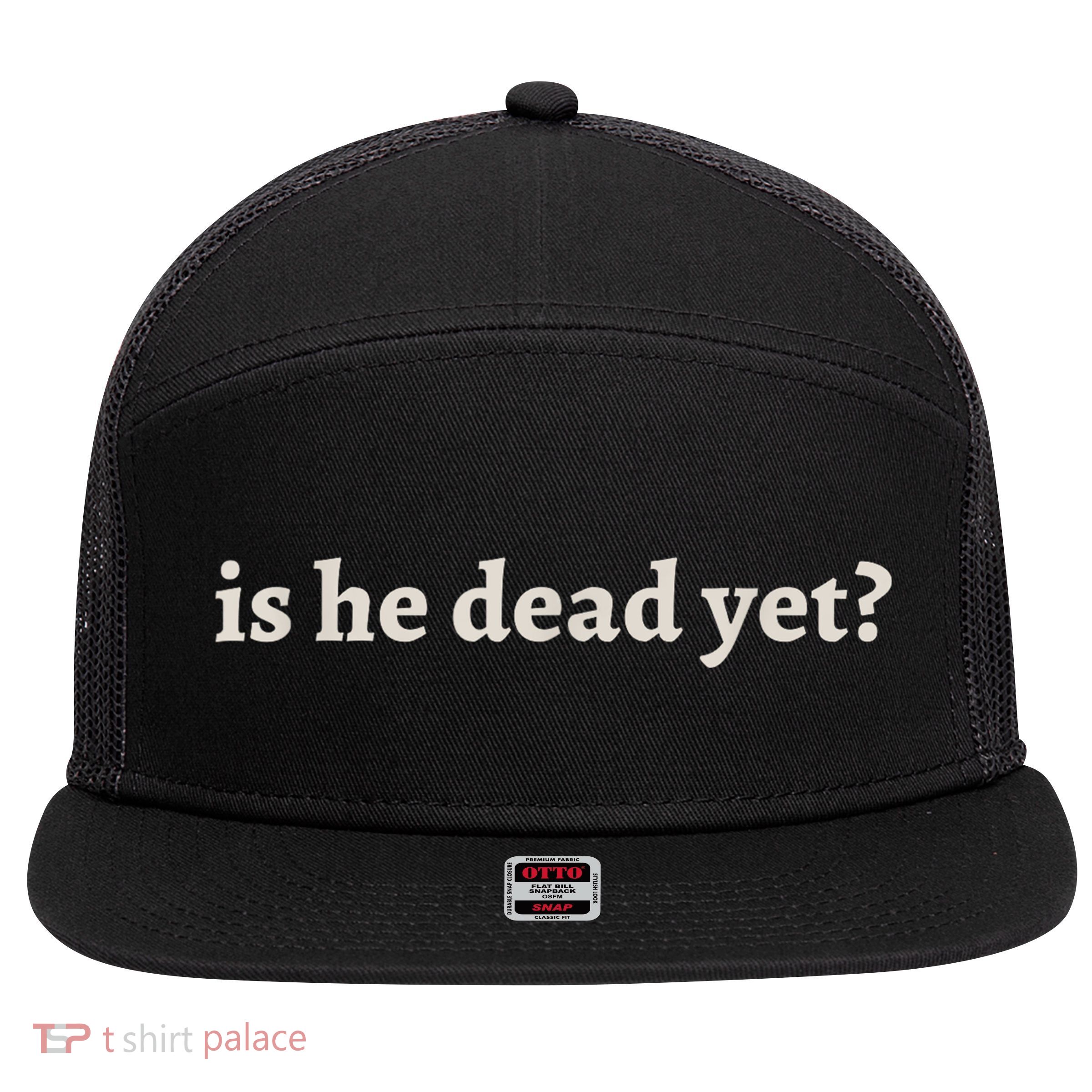 Is He Dead Yet Vintage 7 Panel Mesh Trucker Snapback Hat