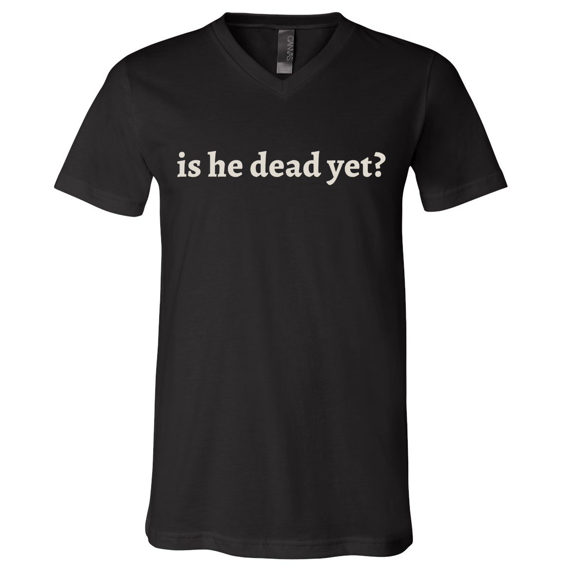 Is He Dead Yet Vintage V-Neck T-Shirt