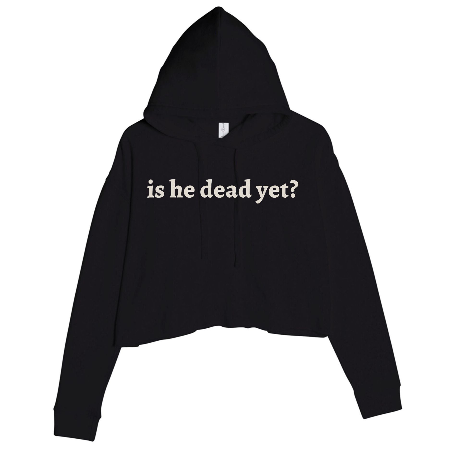 Is He Dead Yet Vintage Crop Fleece Hoodie