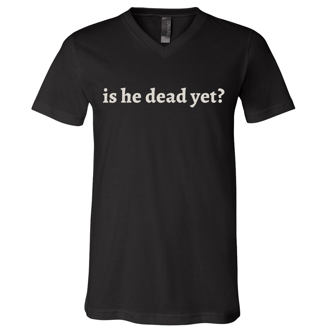 Is He Dead Yet Vintage V-Neck T-Shirt