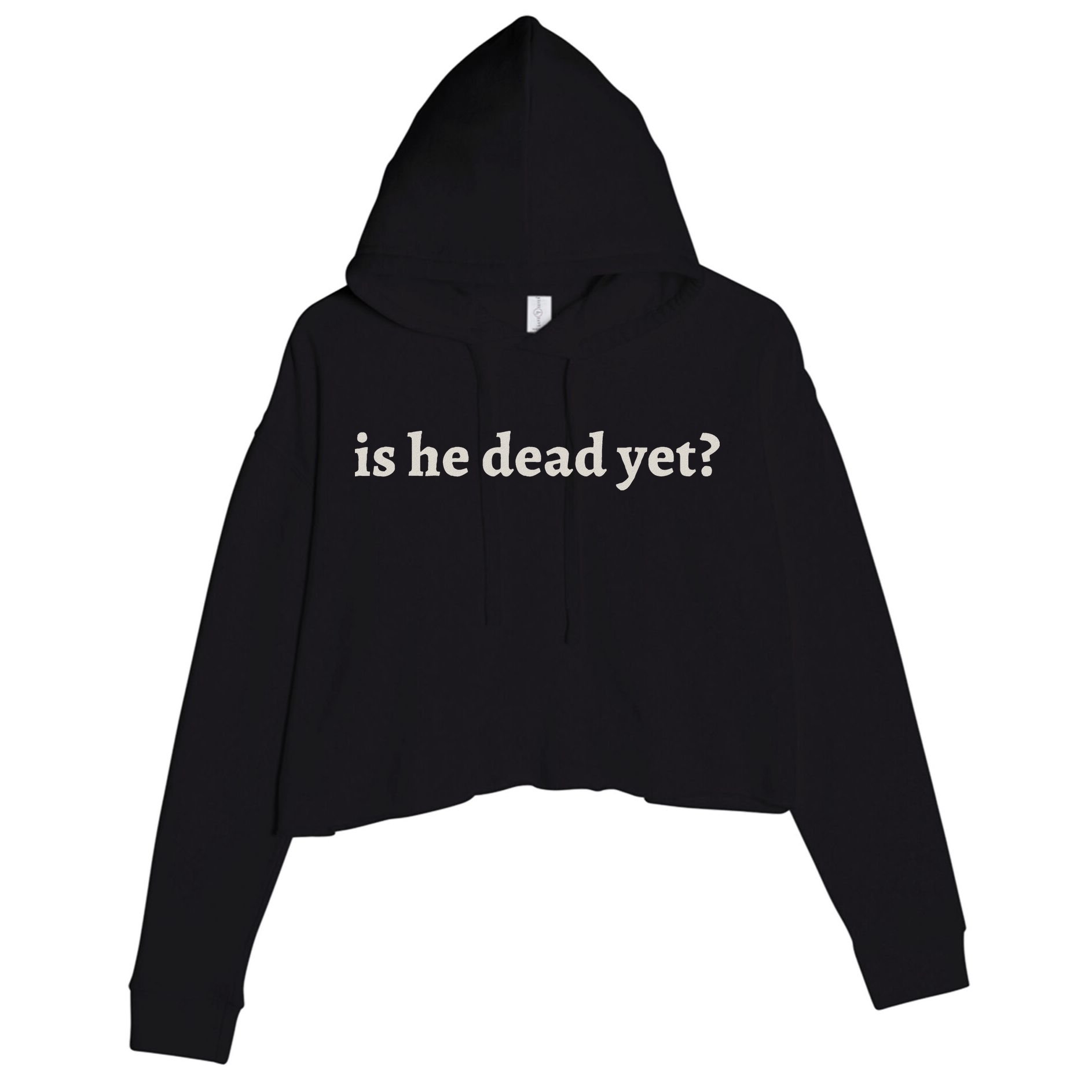 Is He Dead Yet Vintage Crop Fleece Hoodie