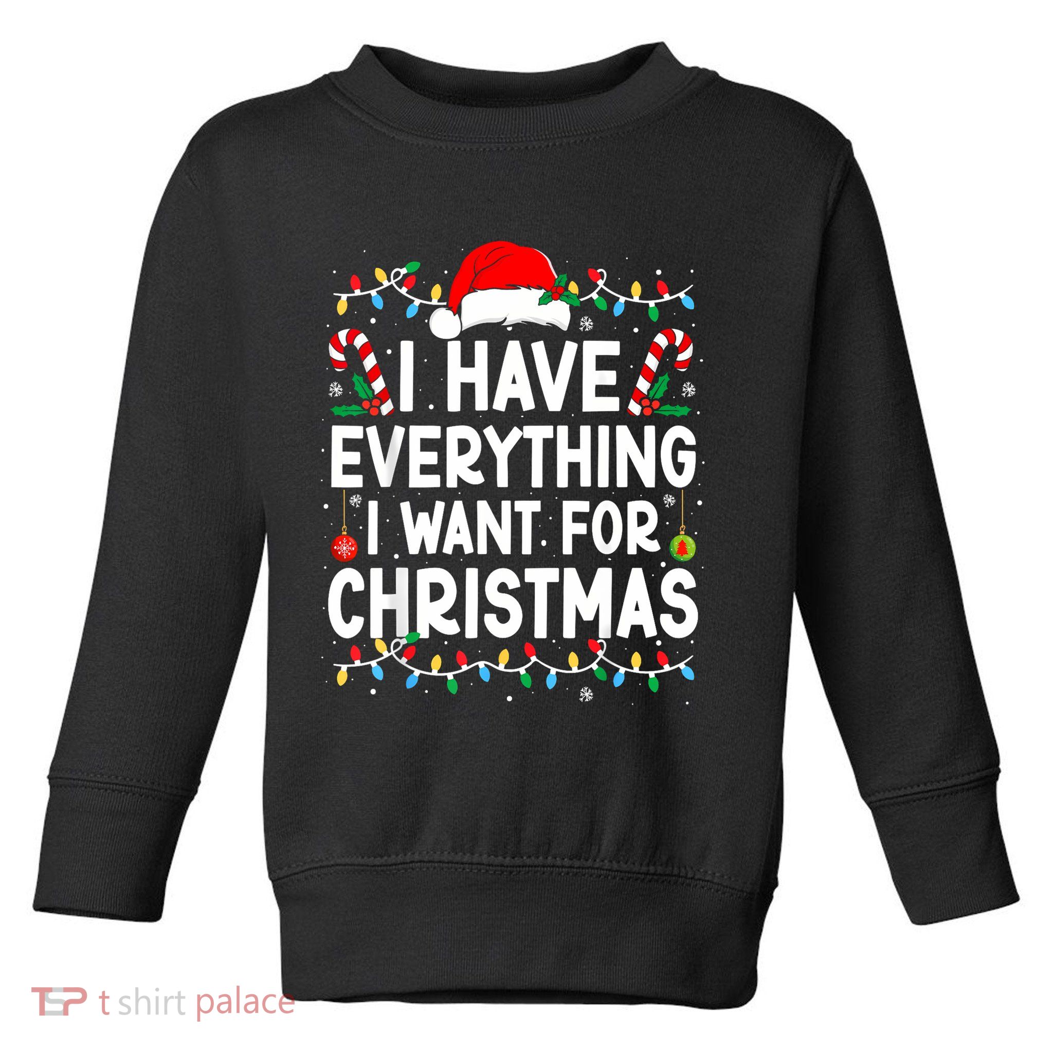 I Have Everything I Want For Christmas Toddler Sweatshirt