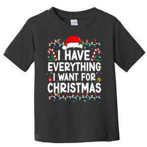 I Have Everything I Want For Christmas Toddler T-Shirt