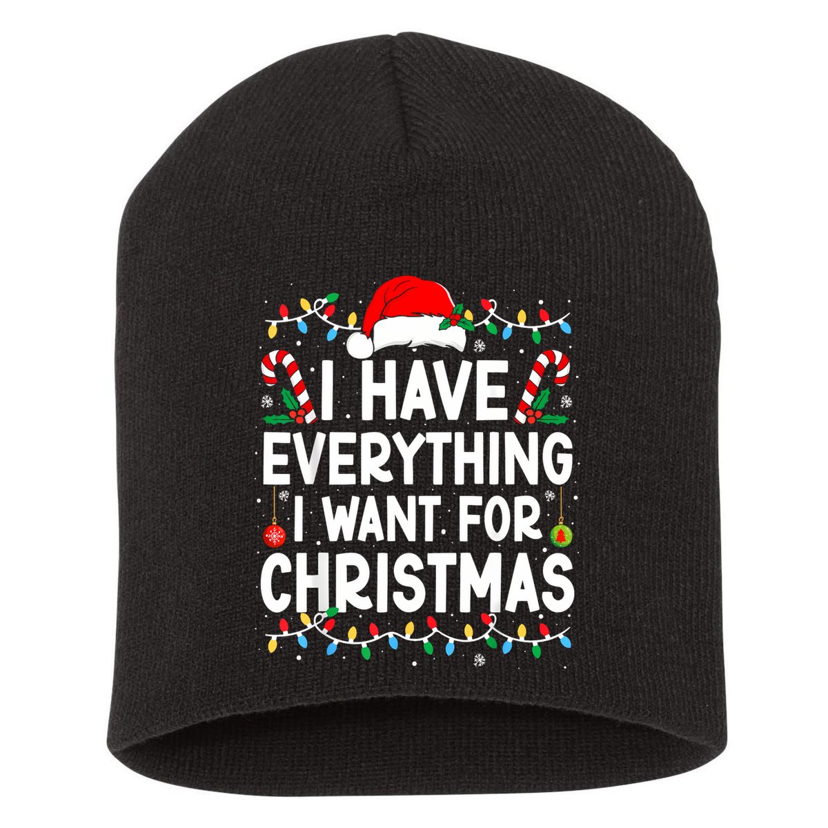 I Have Everything I Want For Christmas Short Acrylic Beanie