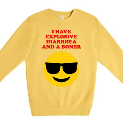 I Have Explosive Diarrhea And A Boner Premium Crewneck Sweatshirt