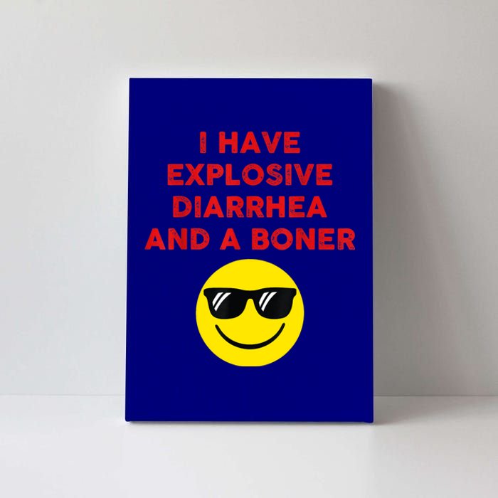 I Have Explosive Diarrhea And A Boner Canvas