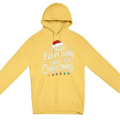 I Have Everything I Want For Christmas Couples Matching Premium Pullover Hoodie