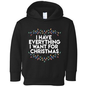 I Have Everything I Want For Christmas Funny Xmas Couples Toddler Hoodie