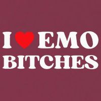 I Heart Emo Bitches Funny Quote Red Heart Emo Style 16oz Travel Tumbler