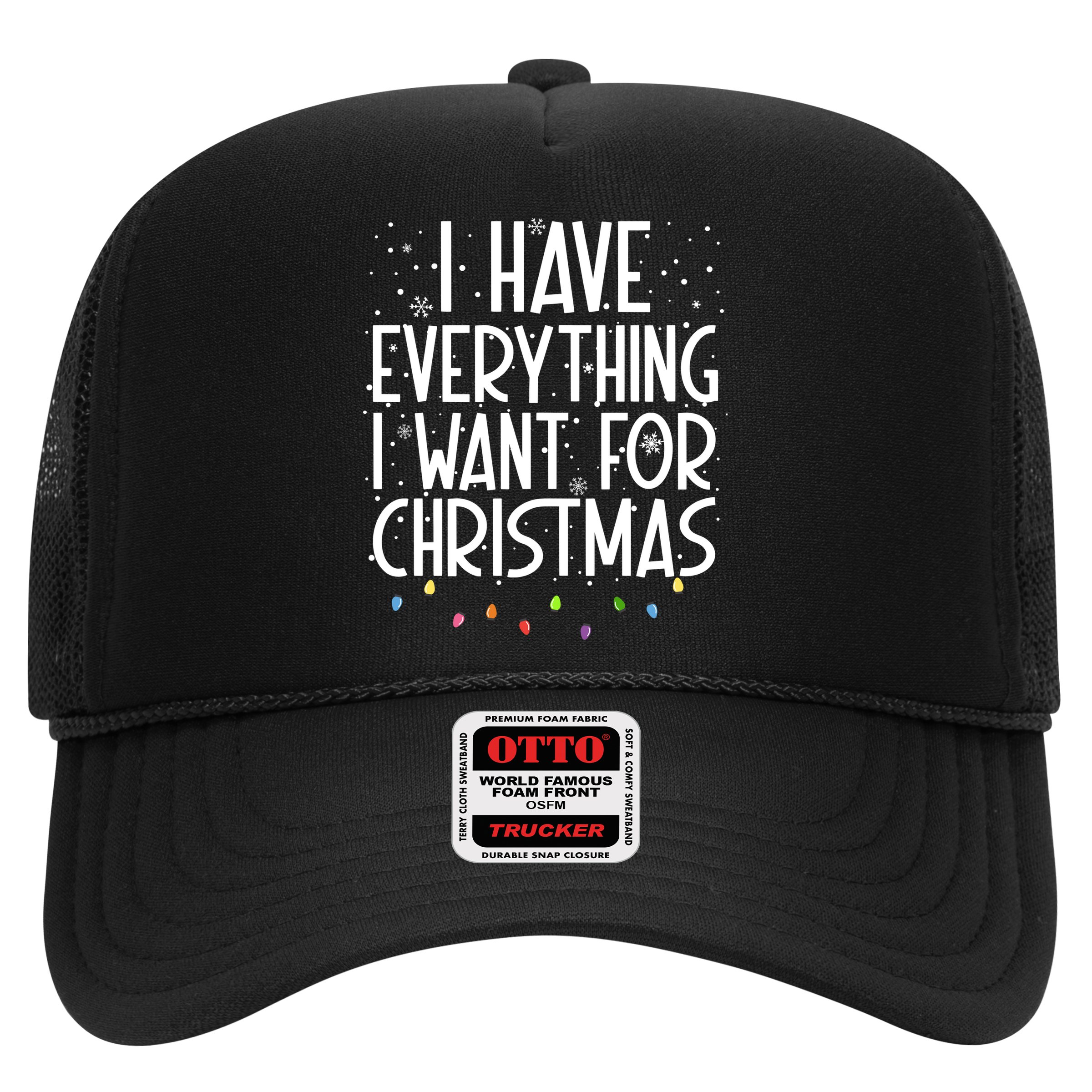 I Have Everything I Want For Christmas Festive Hat