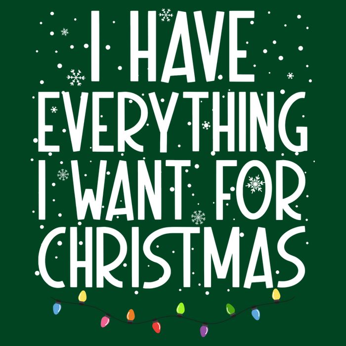 I Have Everything I Want For Christmas Festive T-Shirt